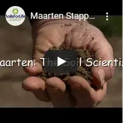 MAARTEN STAPPER – SOIL AND FARMING SYSTEM AGRONOMIST (PART 1)