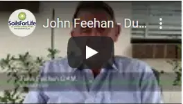 John Feehan – Dung beetles