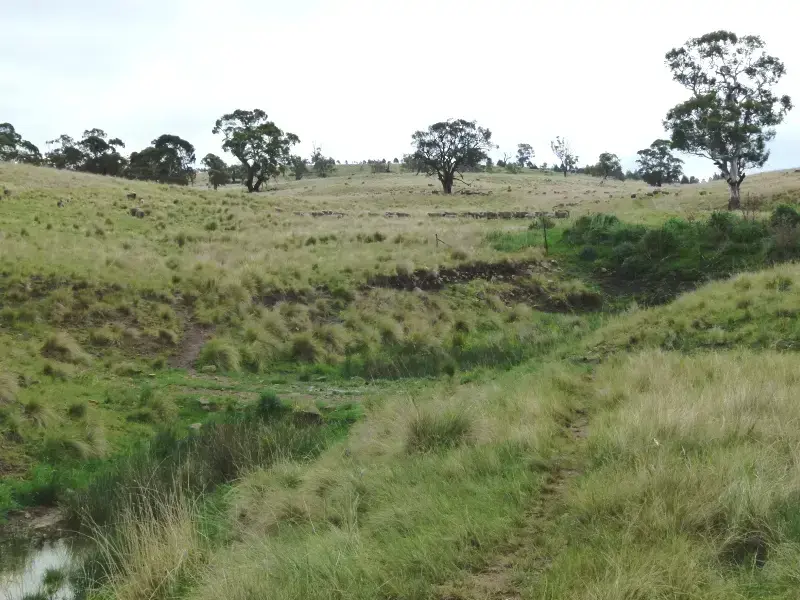 image of regenerating erosion gully