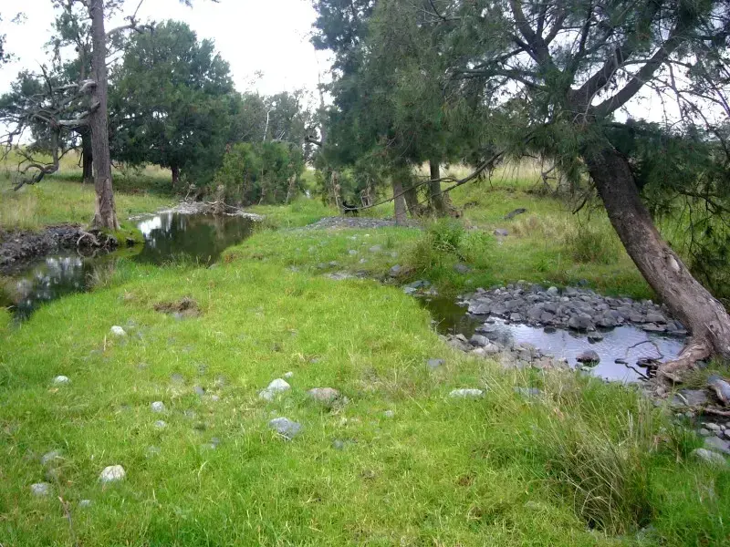 ‘Tallawang’ – Greener pastures through restoring landscape hydrology