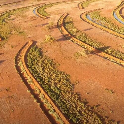 Rangelands Living Skin Header Image