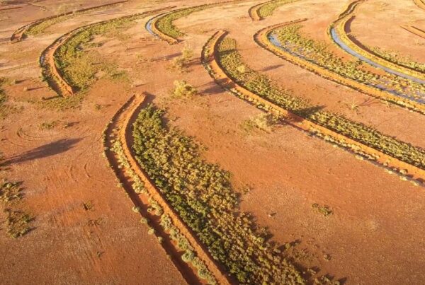 Rangelands Living Skin Header Image