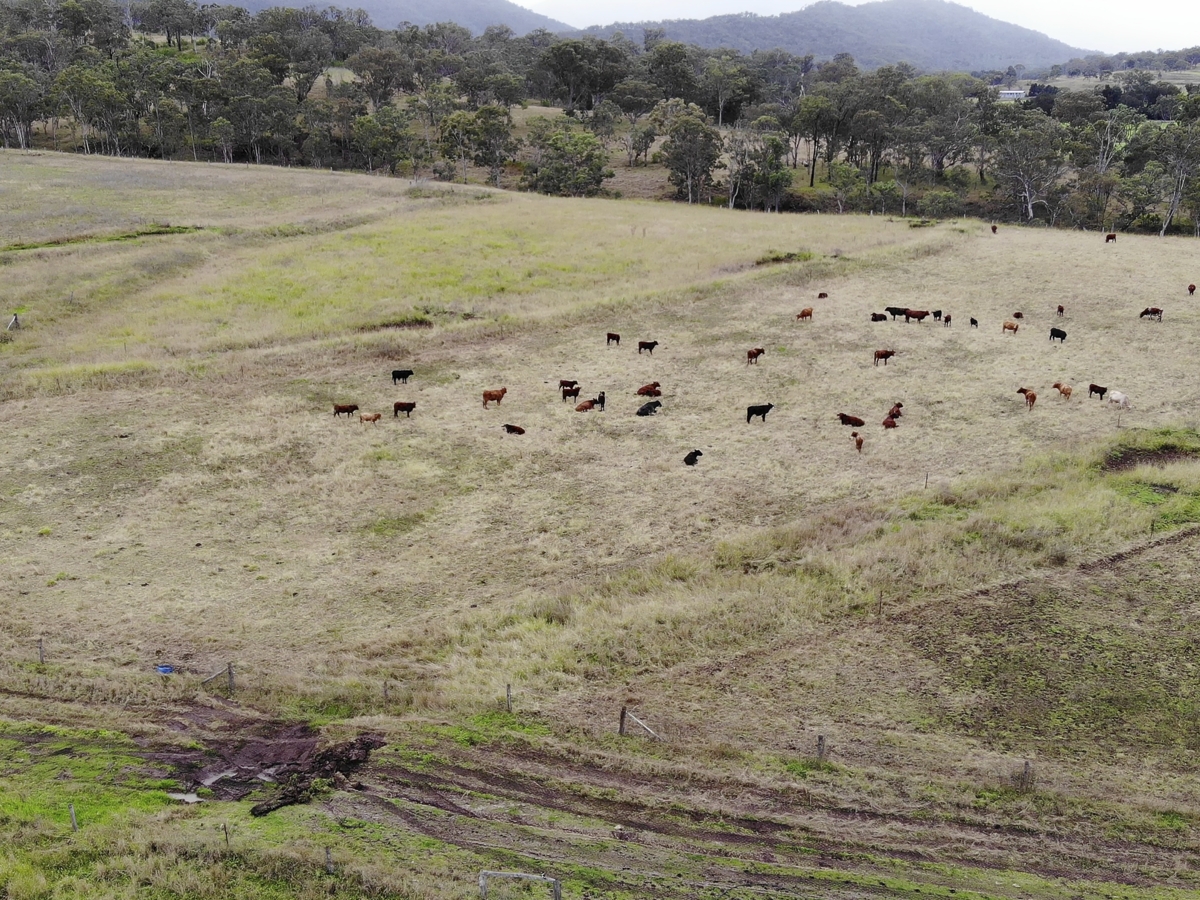 Gleneden Family Farm - Soils For Life