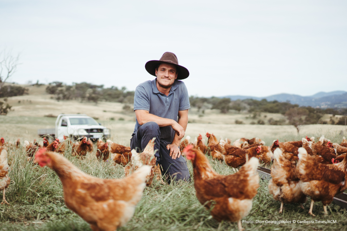 Farmers learning from farmers: Insights into pasture-raised chickens