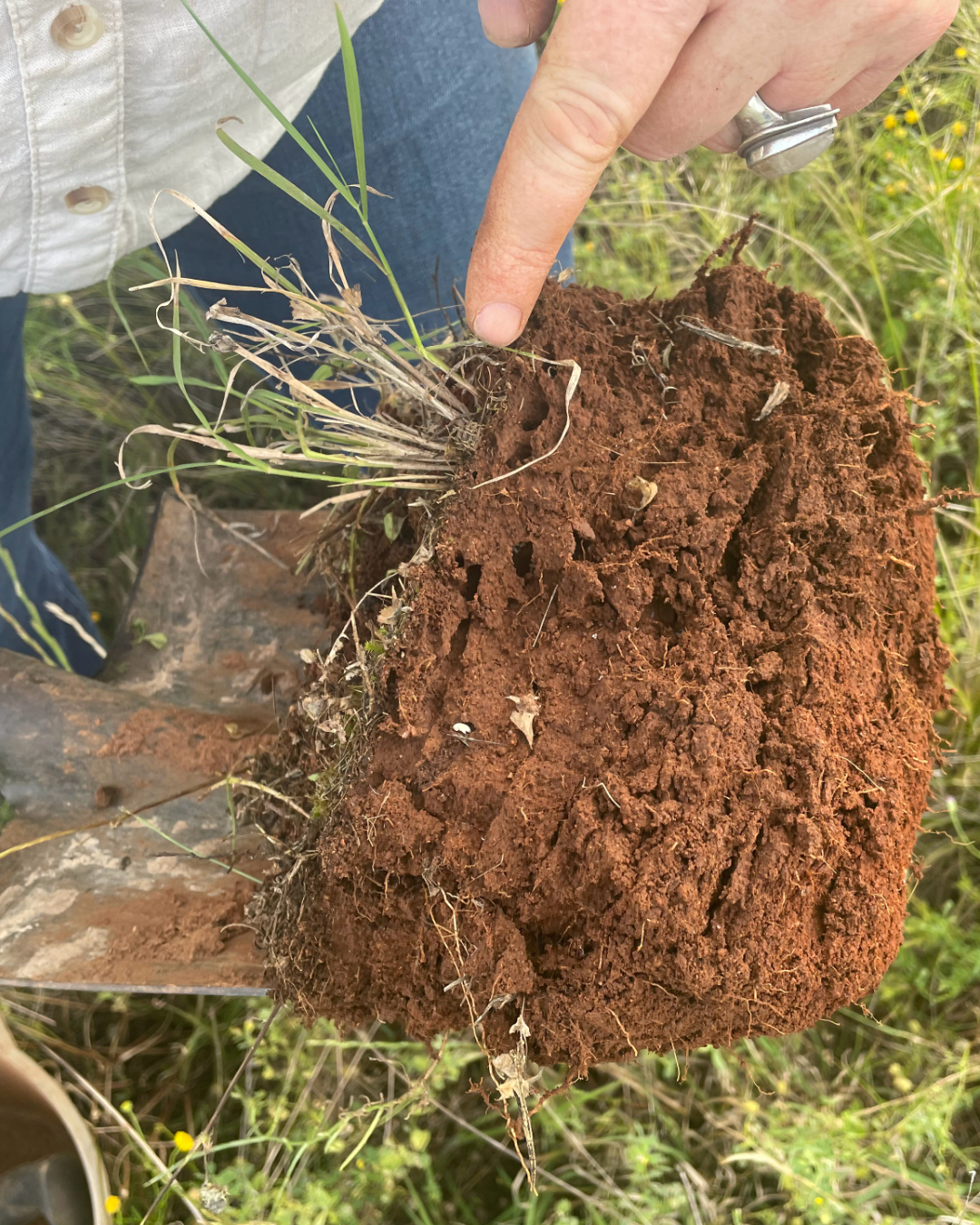 Soil Webinar: Finding Common Ground