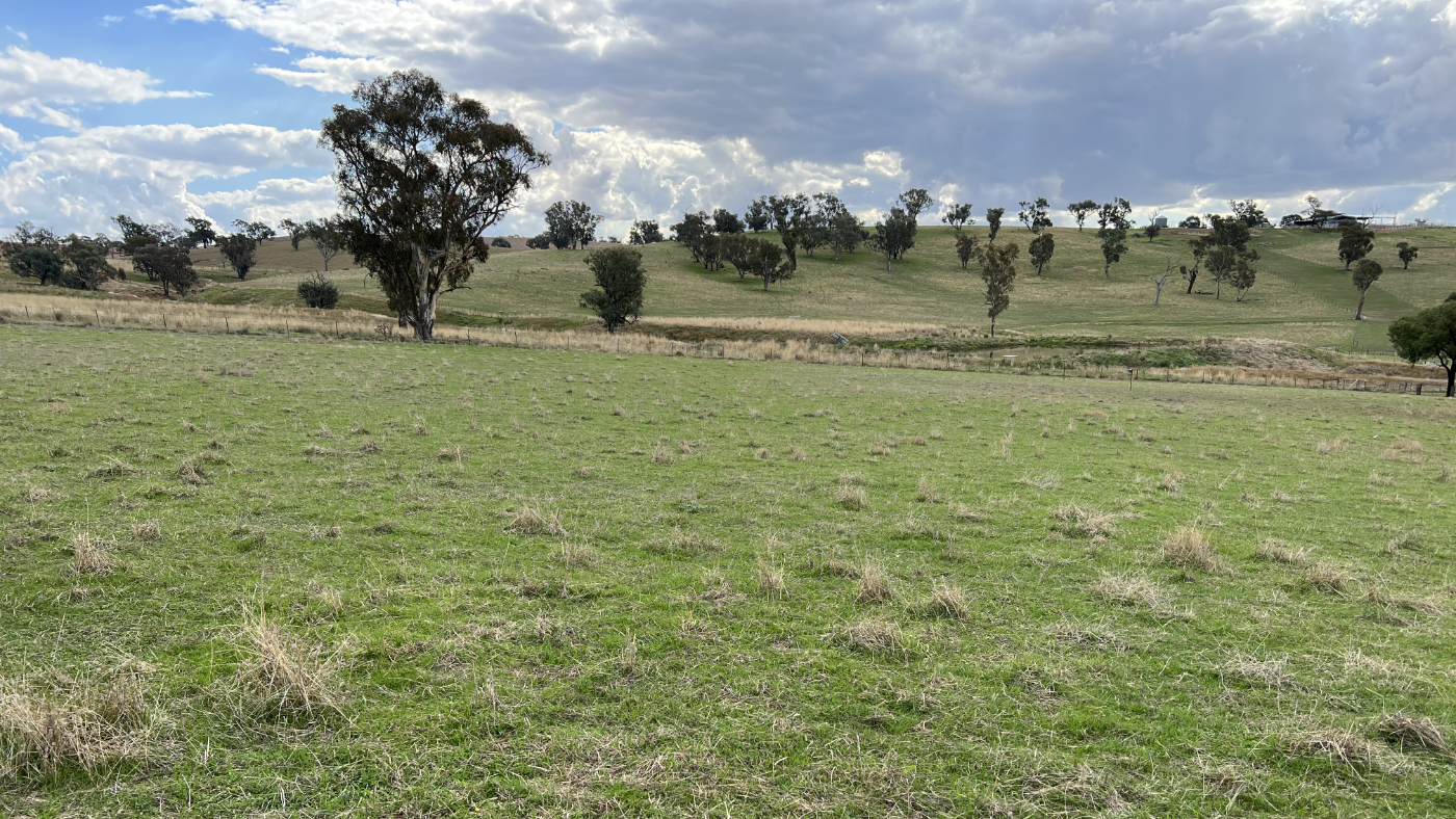 Field day: Drought Resilience in the lower Riverina