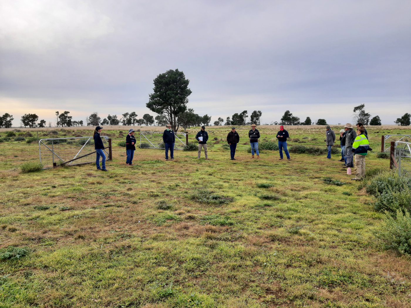 Drought resilience field days in the Riverina