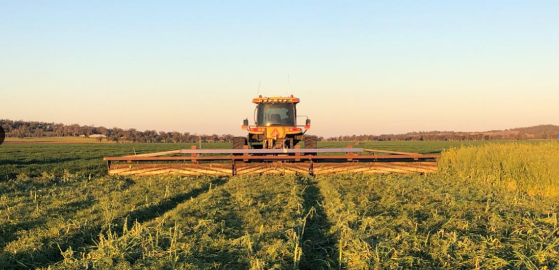 Field day: Making cover crops work