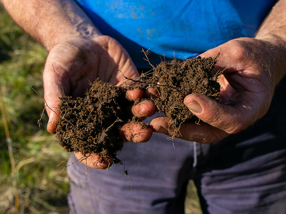 Close up of farmers hand holding healthy soil after regenerative farming education from Soils for Life