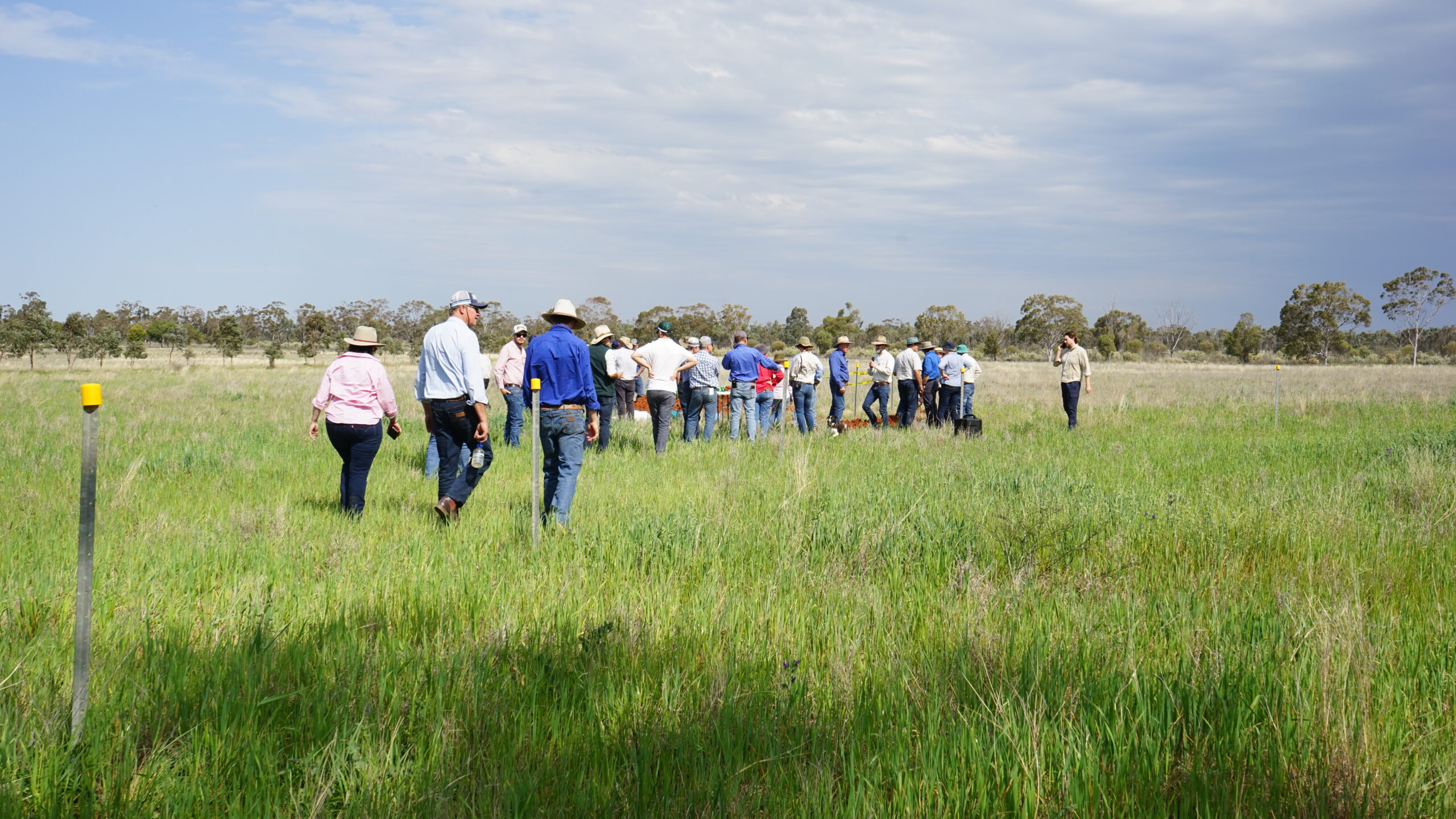 Farmer Discussion Groups