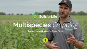 Practice Guide: Multispecies Cropping - Soils For Life