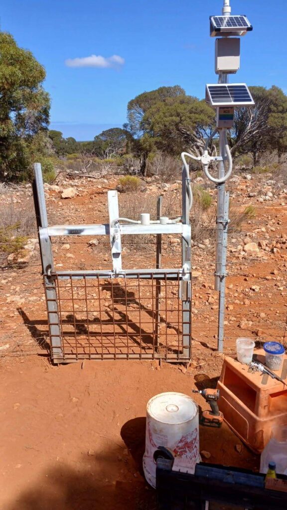 Automatic gate that can be triggered shut using a mobile phone at Murchison House Station. Source: WA DPIRD