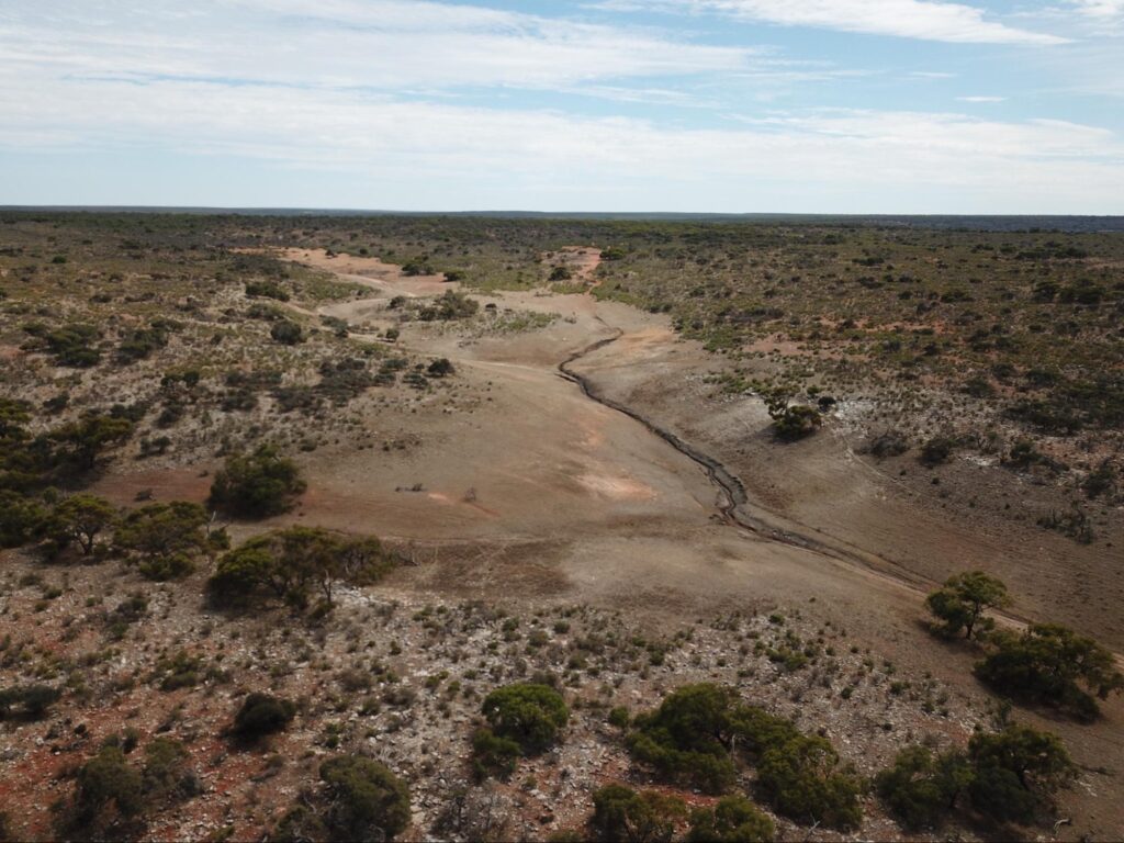 A gully in the Pillawarra land system with spring water at the bottom on Murchison House Station. Source: Diana Blaschke.