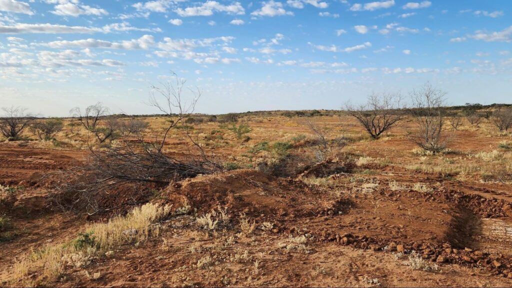 Remediation of unused section of track with scrub sieves at Jimba Jimba. Source: Will Baston.