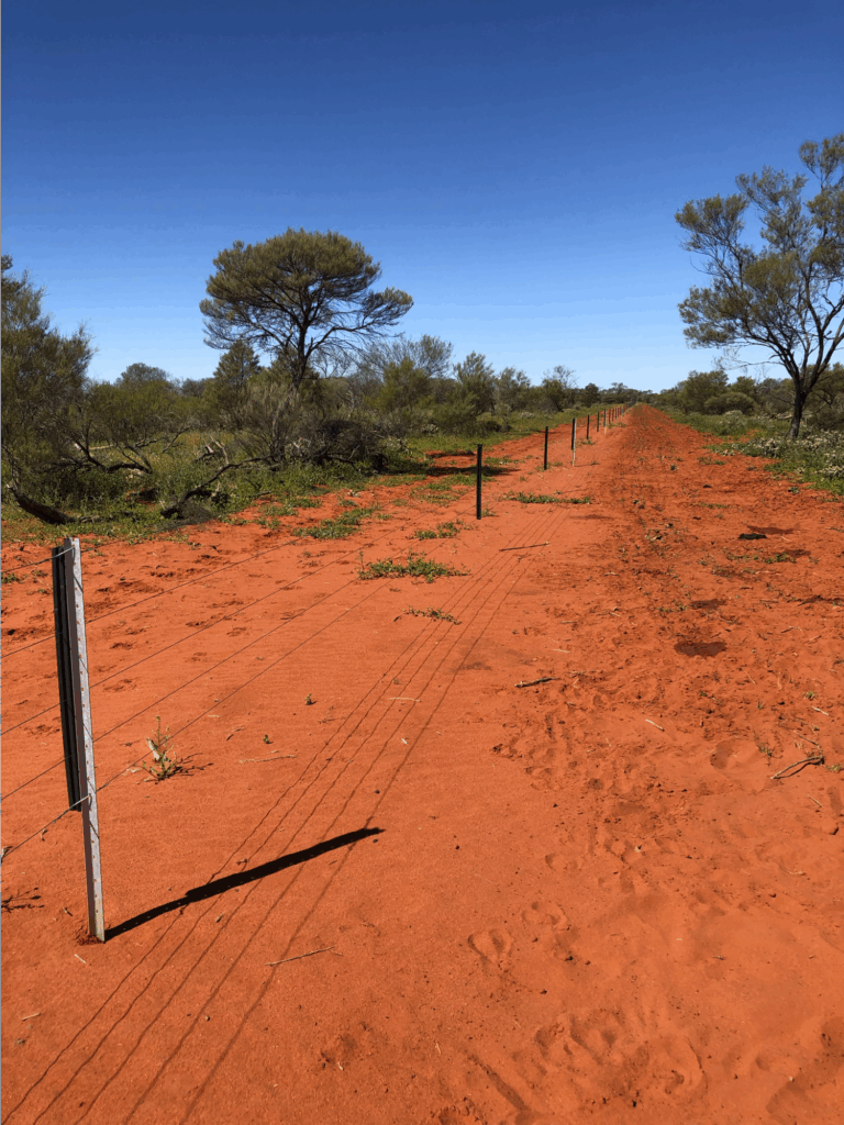 Electric fencing used to fence off a 9,000 ha demonstration paddock at Carey Downs. Source: Harry McKeough.