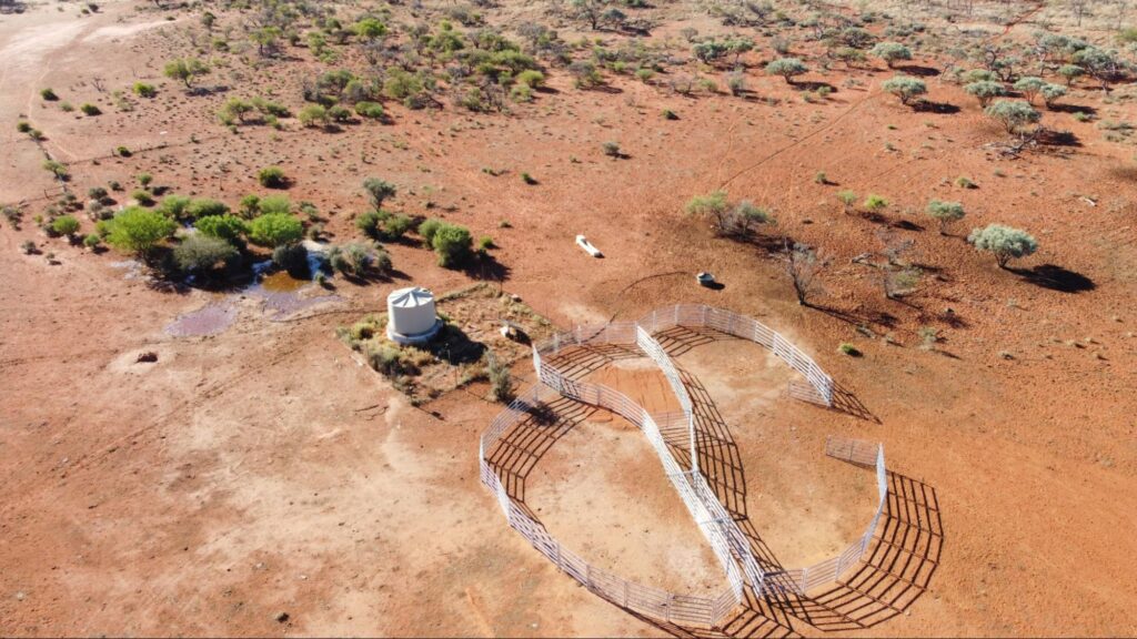 ‘West Tank’ trap yards at Jimba Jimba. Source: Will Baston.