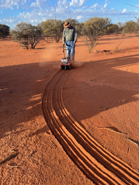 Darren uses a rotary hoe to cut 2 lines in the soil before laying 25 sandbags to create a semi-circle buoy . Source: Darren Cousens.