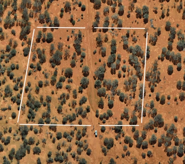 Layout of the 100 m x 100 m perennial vegetation nursery located in the Belele land system at Hillview Station. Source: Darren Cousens.