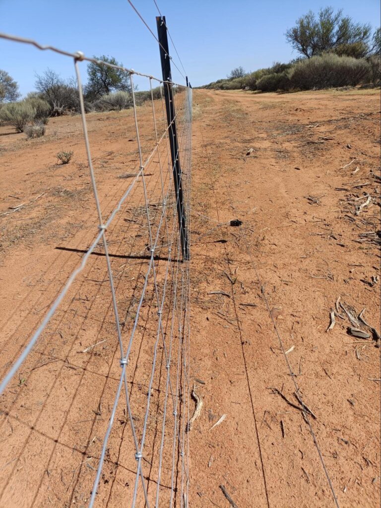 The new fence that was installed as part of the SRRP project at Melangata Station. Source: Jo Clews.