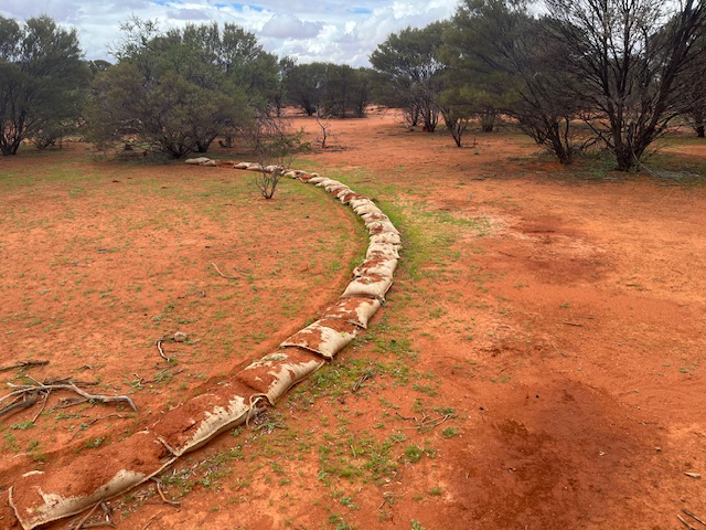 Signs of vegetation growth around a sandbag buoy and through the hessian bags approximately 3 months after installation and following a cumulative 60 mm of rainfall at Hillview Station. Source: Darren Cousens.