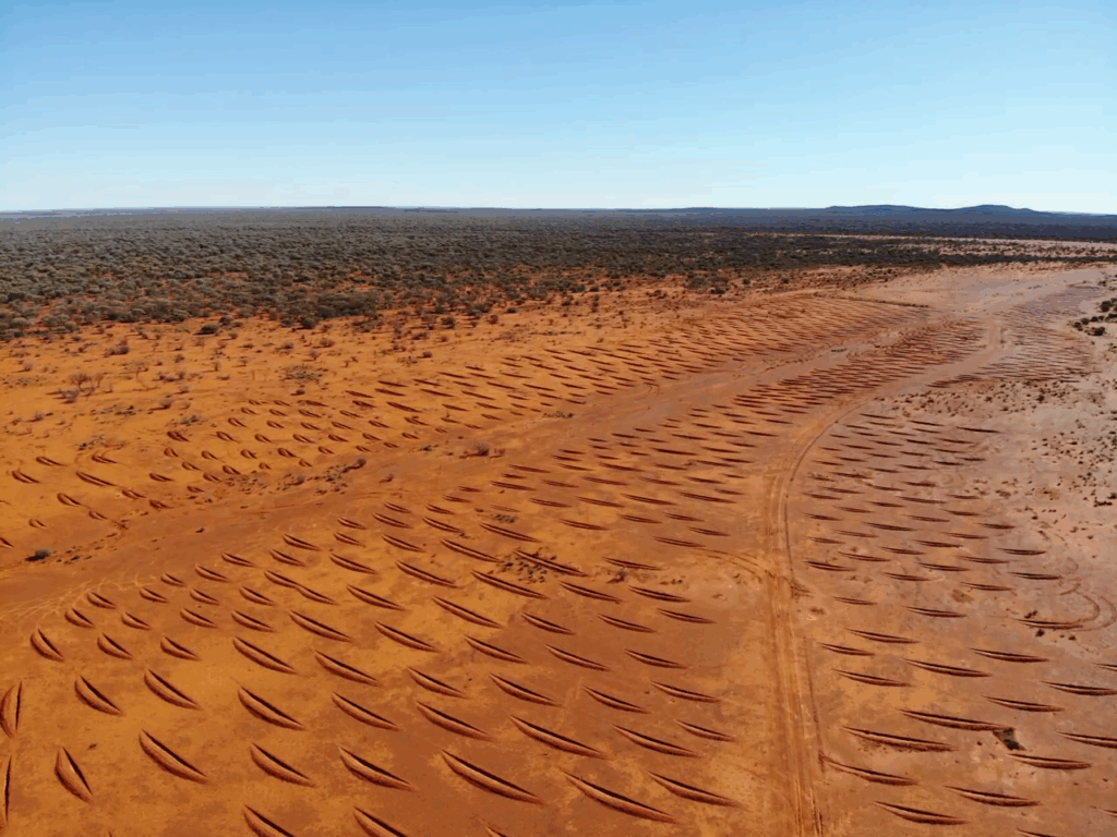 Hard pan after installing grader scallops at Challa Station. Source: Debbie Dowden.